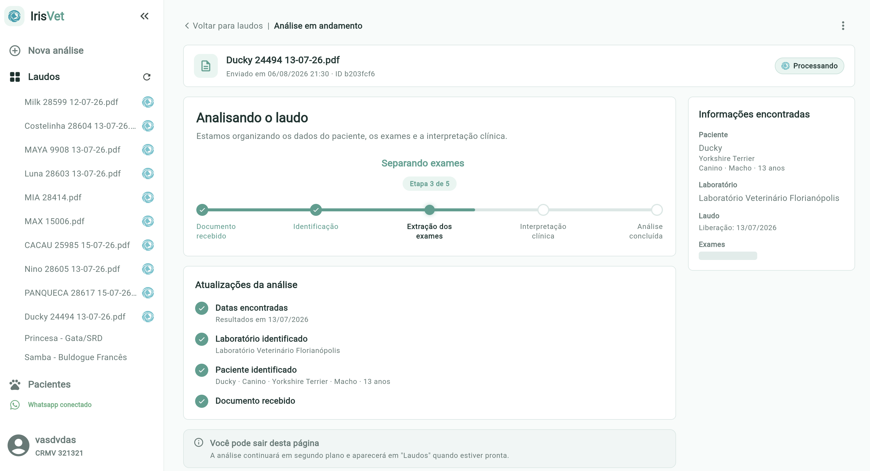 Plataforma IrisVet na versão web — análise de laudo em andamento