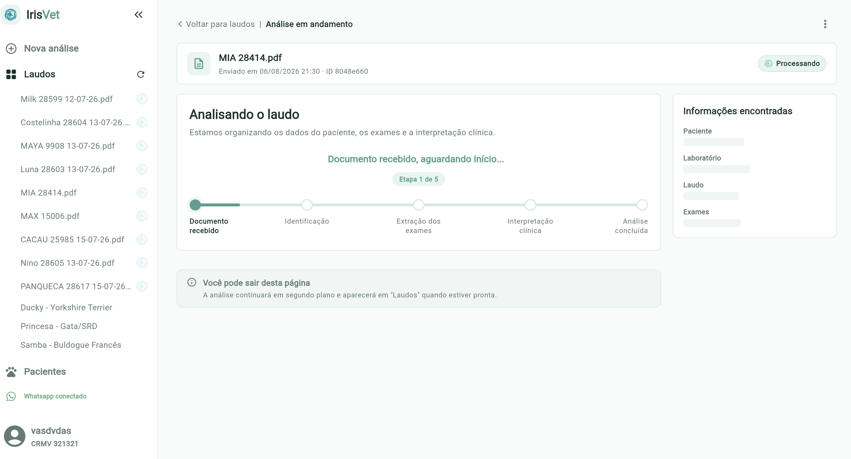 IrisVet — análise de laudo em andamento
