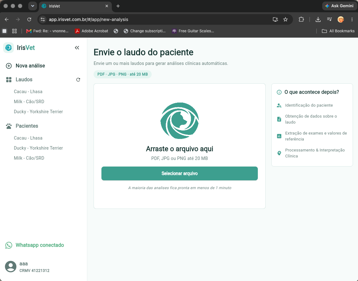 Tela de envio e processamento de laudo no IrisVet